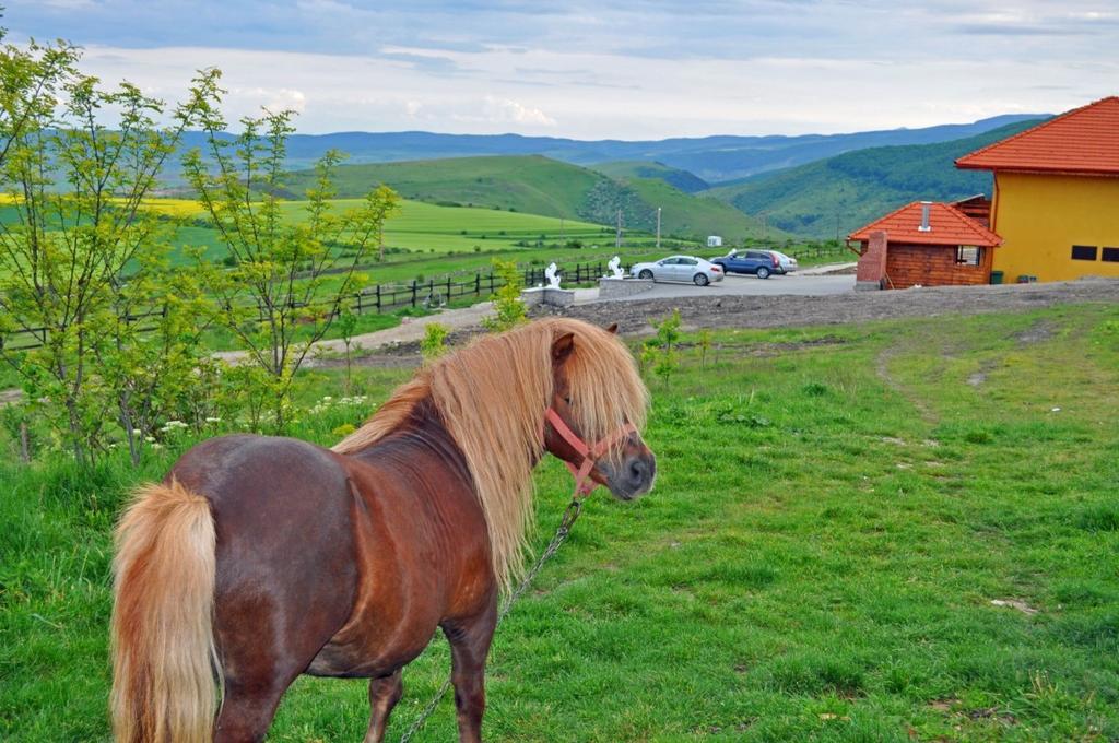 Pensiunea Cheile Apusenilor Sandulesti Экстерьер фото