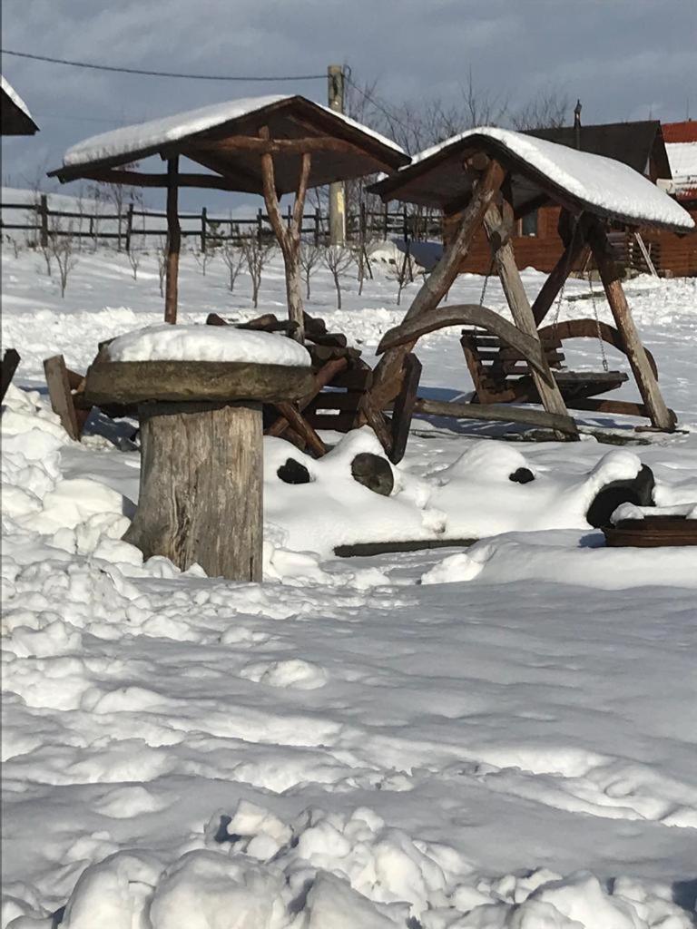 Pensiunea Cheile Apusenilor Sandulesti Экстерьер фото