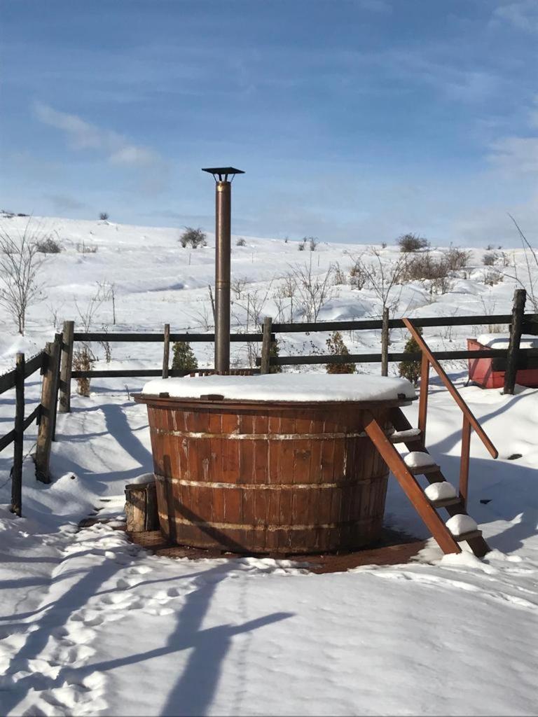 Pensiunea Cheile Apusenilor Sandulesti Экстерьер фото